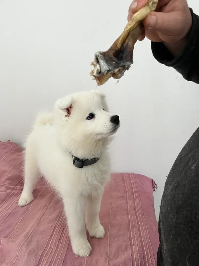 carousel-image-mobile-2