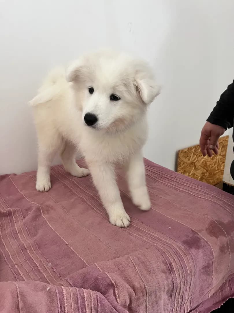 carousel-image-mobile-3