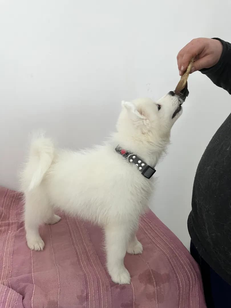 carousel-image-mobile-4