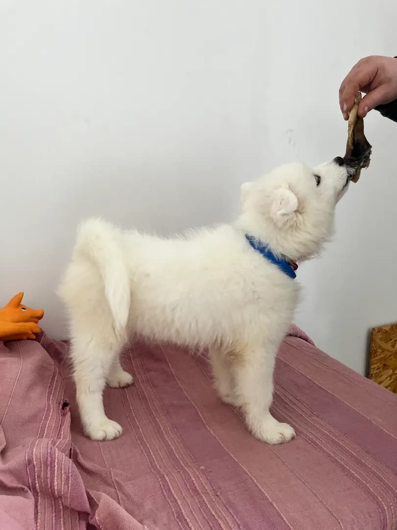 carousel-image-mobile-5