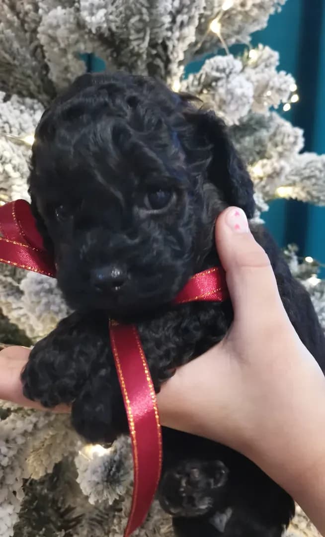 carousel-image-mobile-1