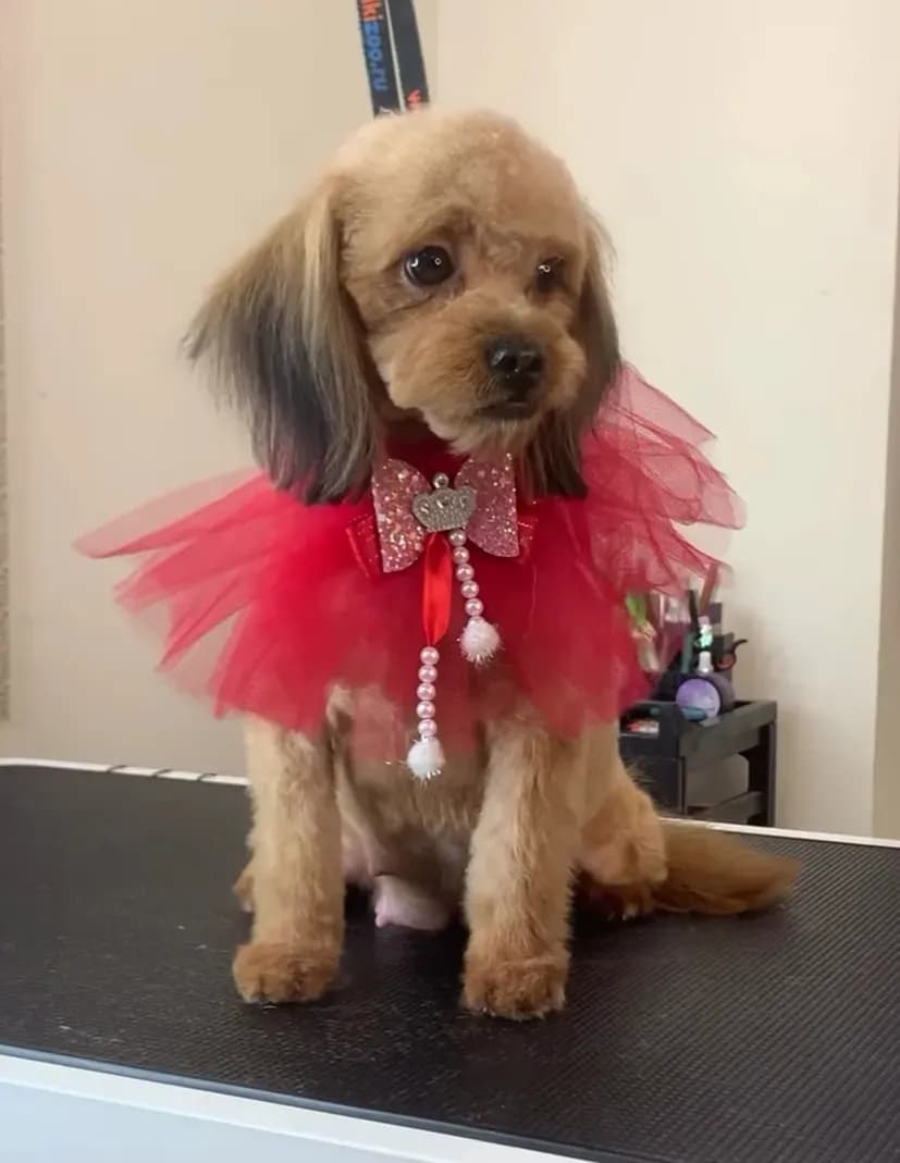 carousel-image-mobile-2