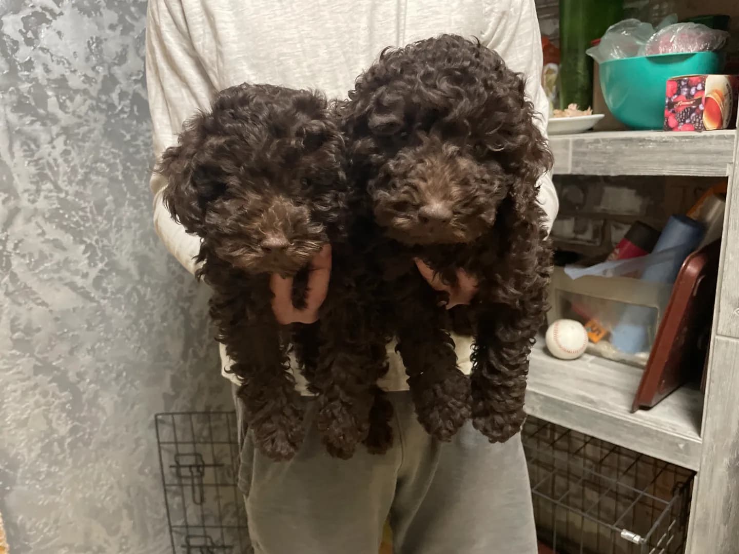 carousel-image-mobile-0