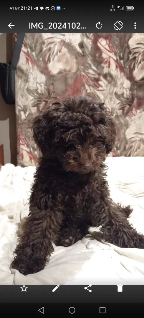 carousel-image-mobile-1