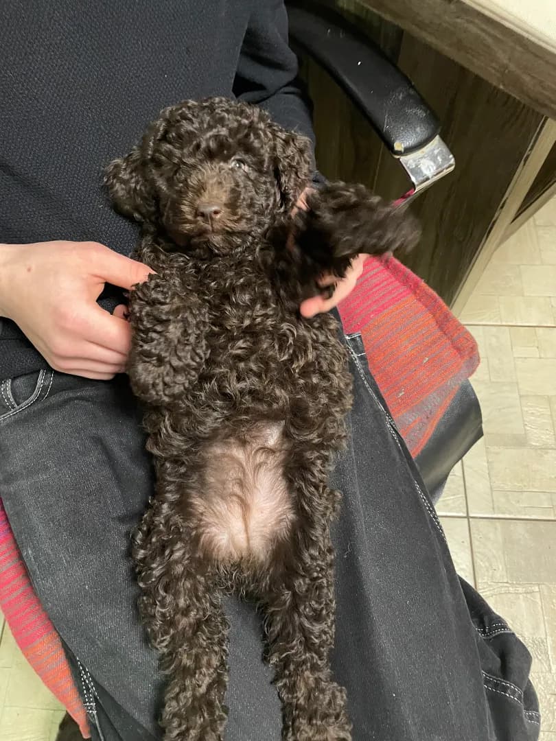 carousel-image-mobile-2