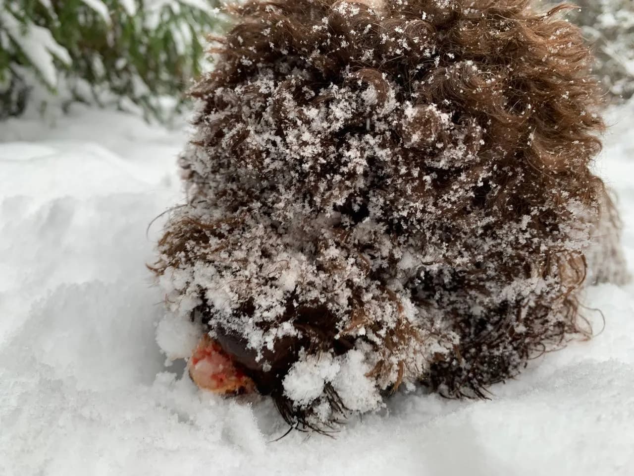 carousel-image-mobile-3