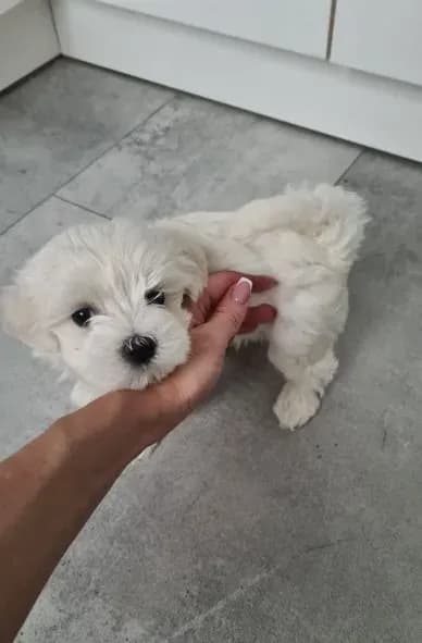 carousel-image-mobile-0