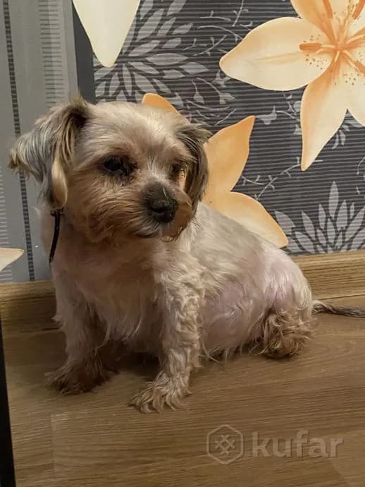 carousel-image-mobile-0