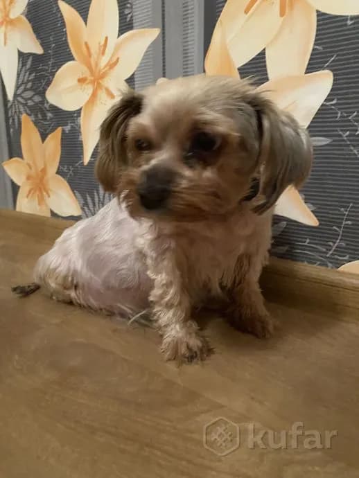 carousel-image-mobile-1