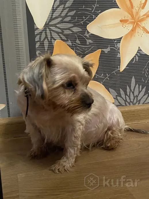 carousel-image-mobile-2