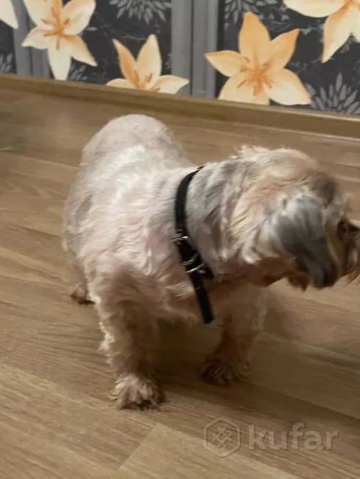 carousel-image-mobile-3