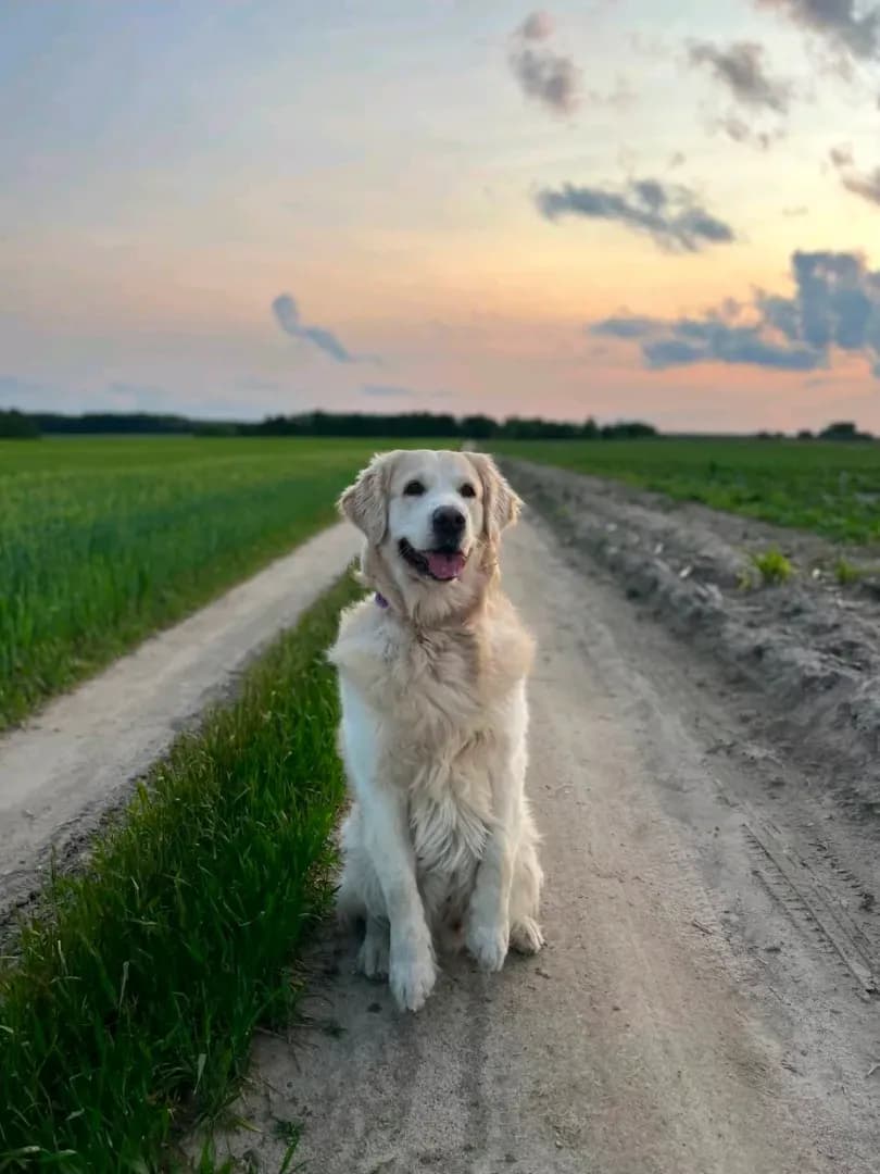 carousel-image-mobile-3