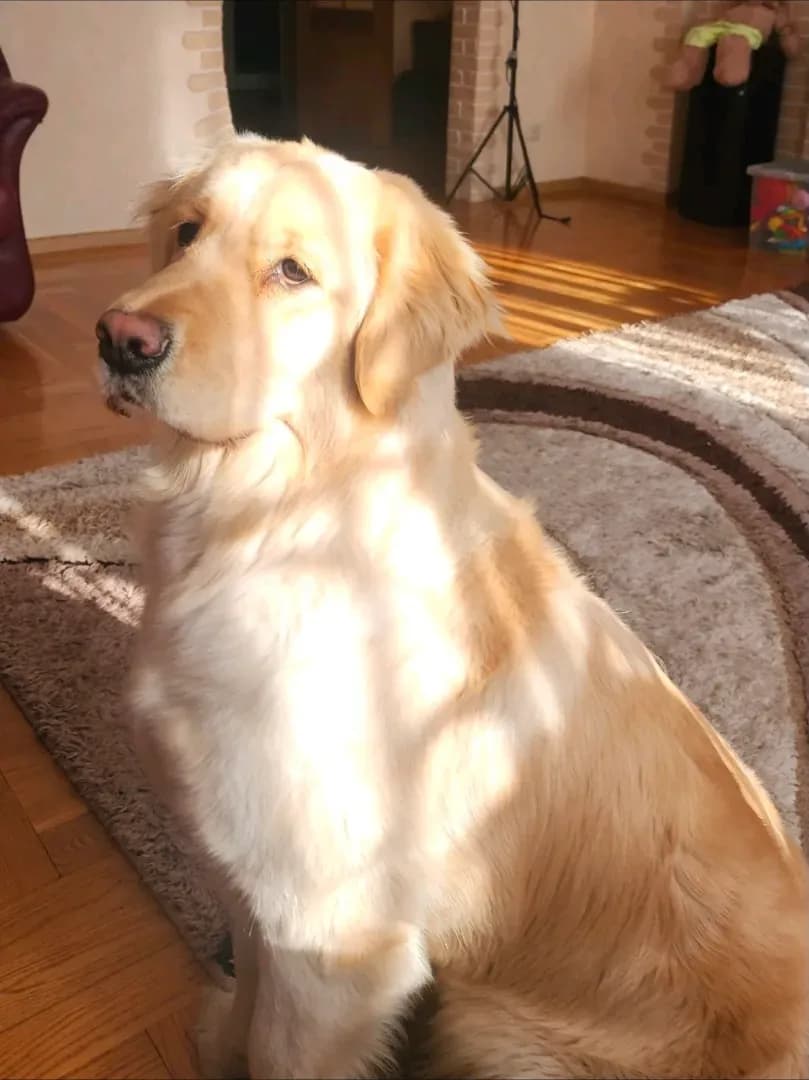 carousel-image-mobile-4