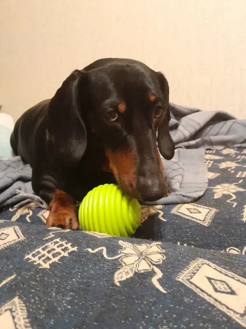 carousel-image-mobile-0