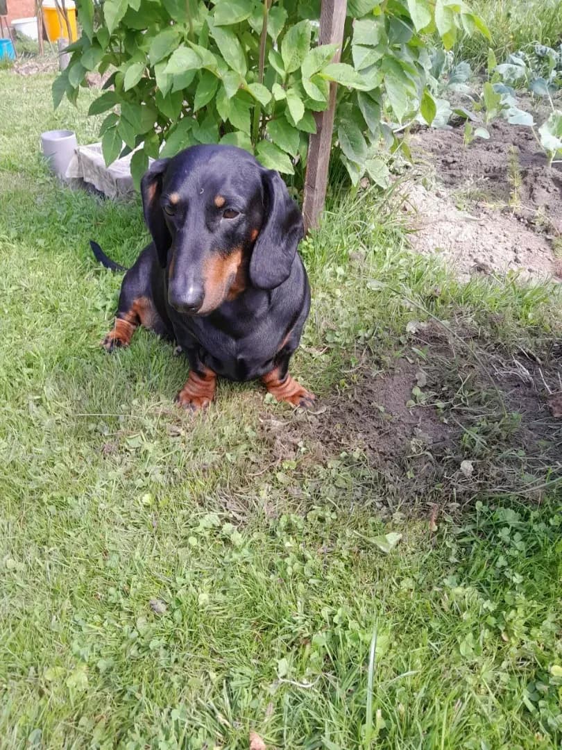 carousel-image-mobile-2