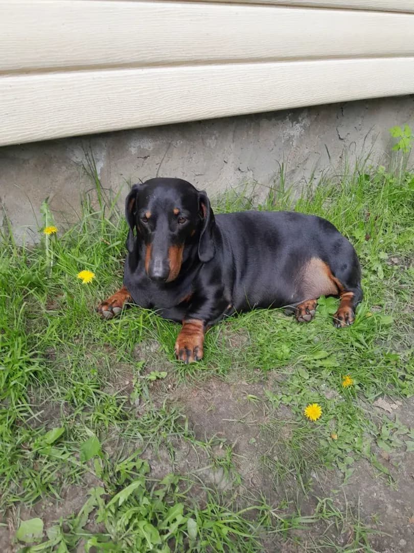 carousel-image-mobile-3