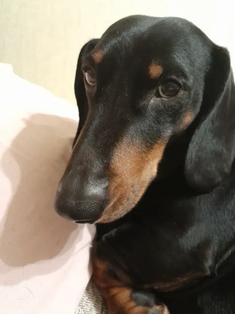 carousel-image-mobile-4