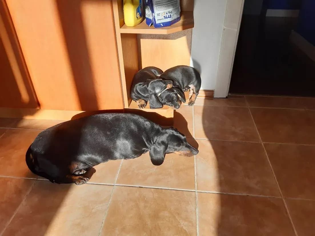 carousel-image-mobile-5