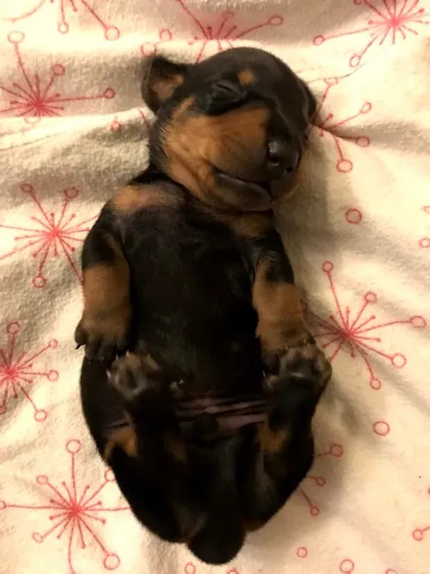 carousel-image-mobile-7