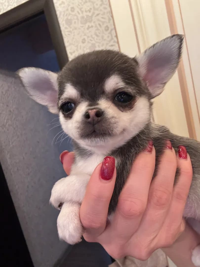 carousel-image-mobile-0