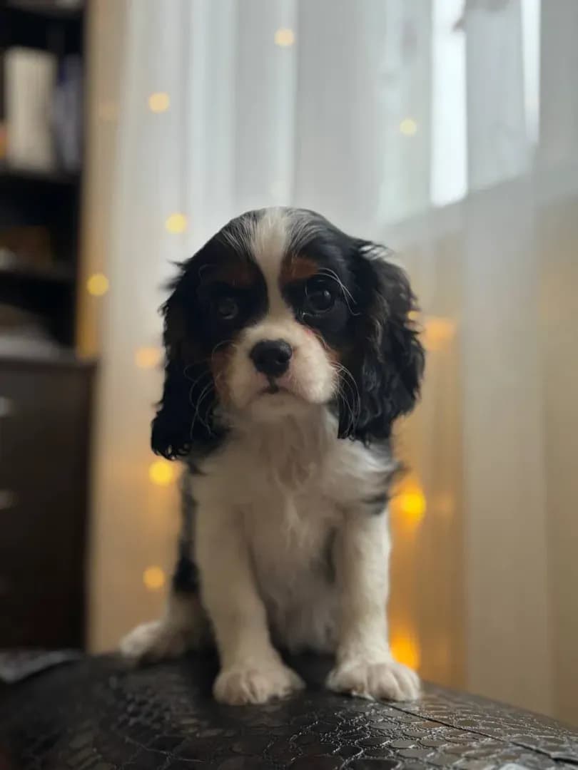 carousel-image-mobile-0