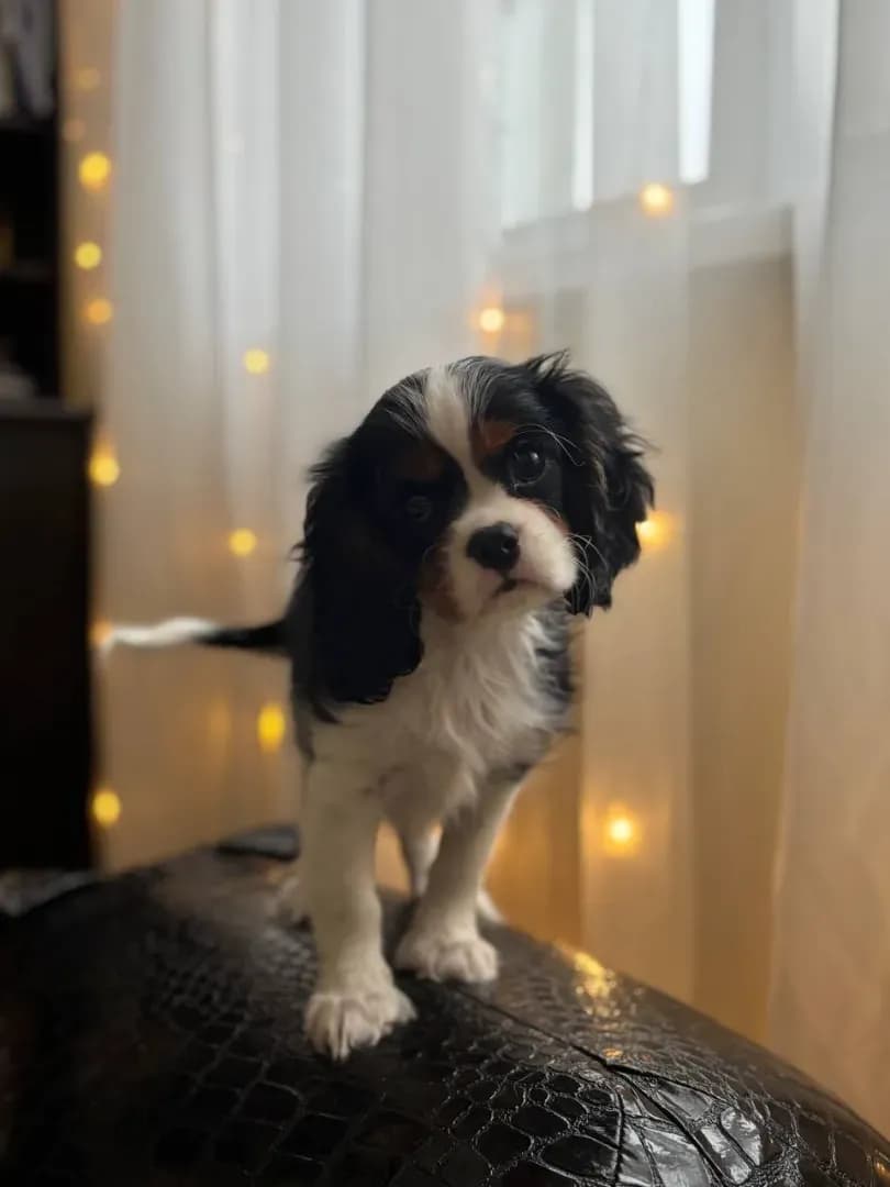 carousel-image-mobile-1