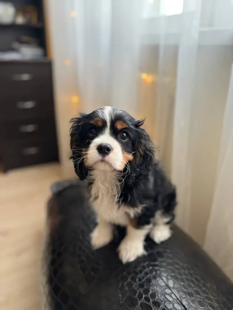 carousel-image-mobile-2