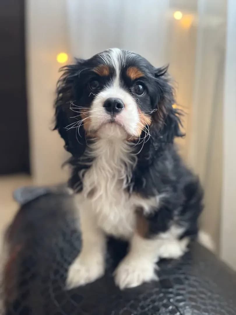 carousel-image-mobile-3