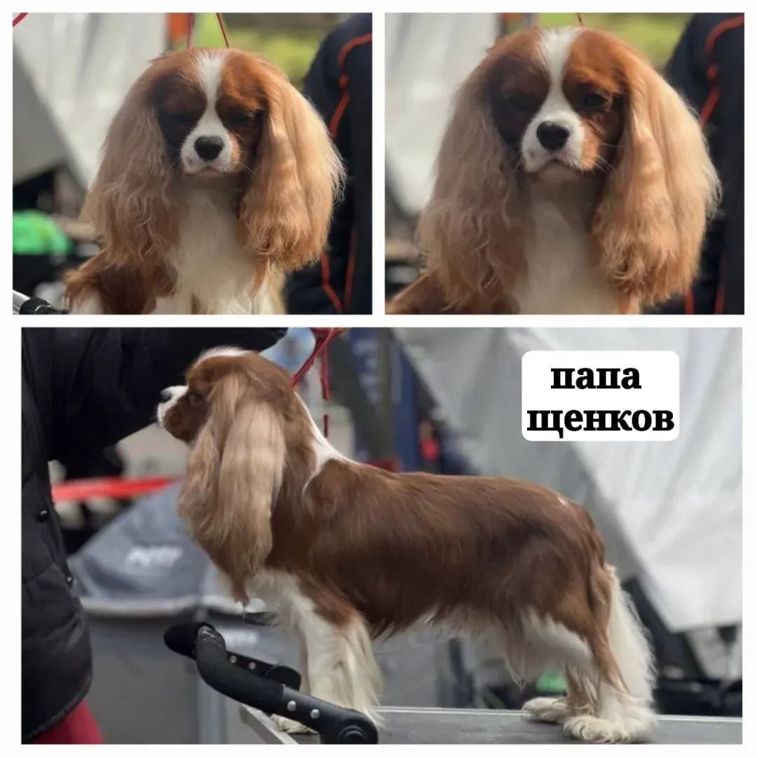 carousel-image-mobile-5