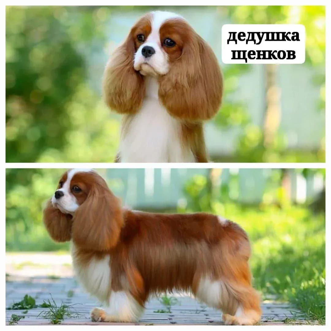 carousel-image-mobile-6