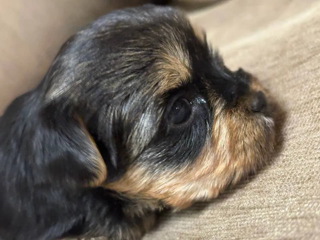 carousel-image-mobile-0