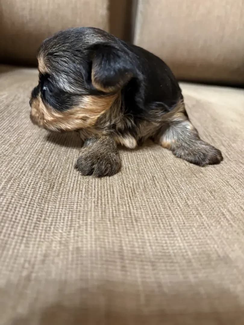 carousel-image-mobile-1