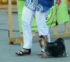 carousel-image-mobile-3