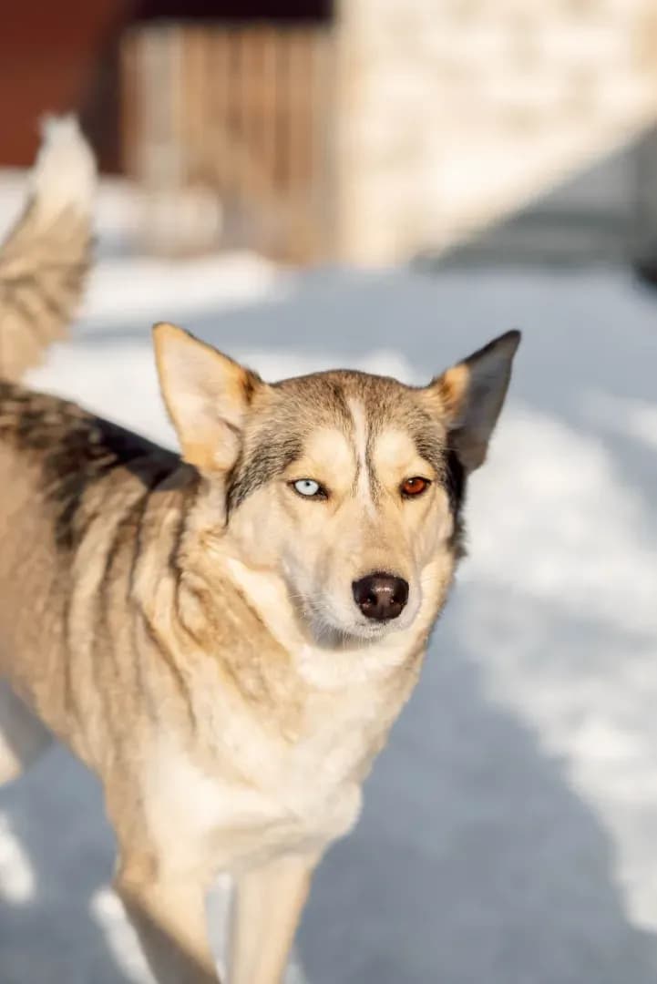 carousel-image-mobile-0