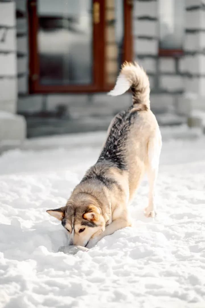 carousel-image-mobile-2