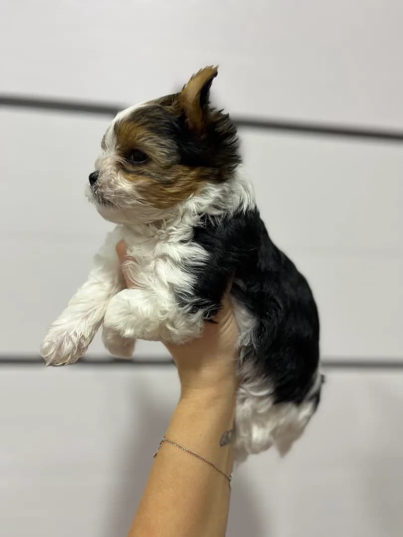 carousel-image-mobile-1