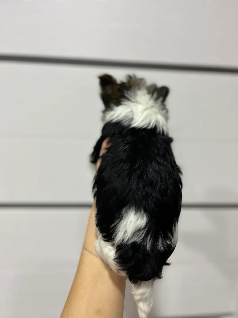 carousel-image-mobile-2