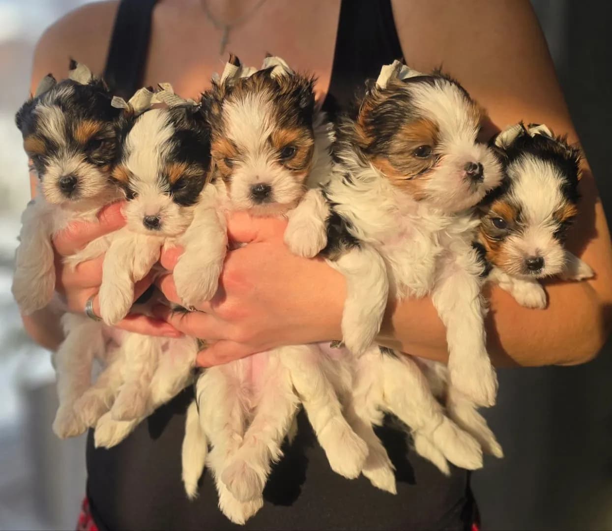 carousel-image-mobile-3