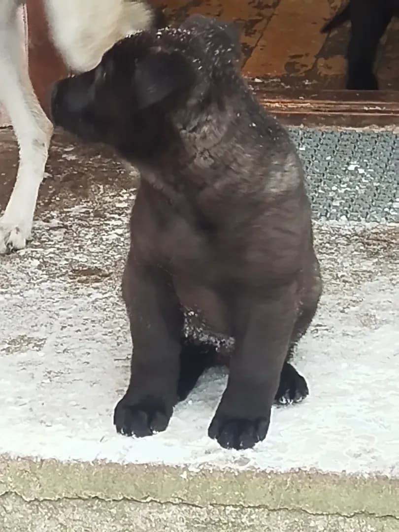 carousel-image-mobile-0