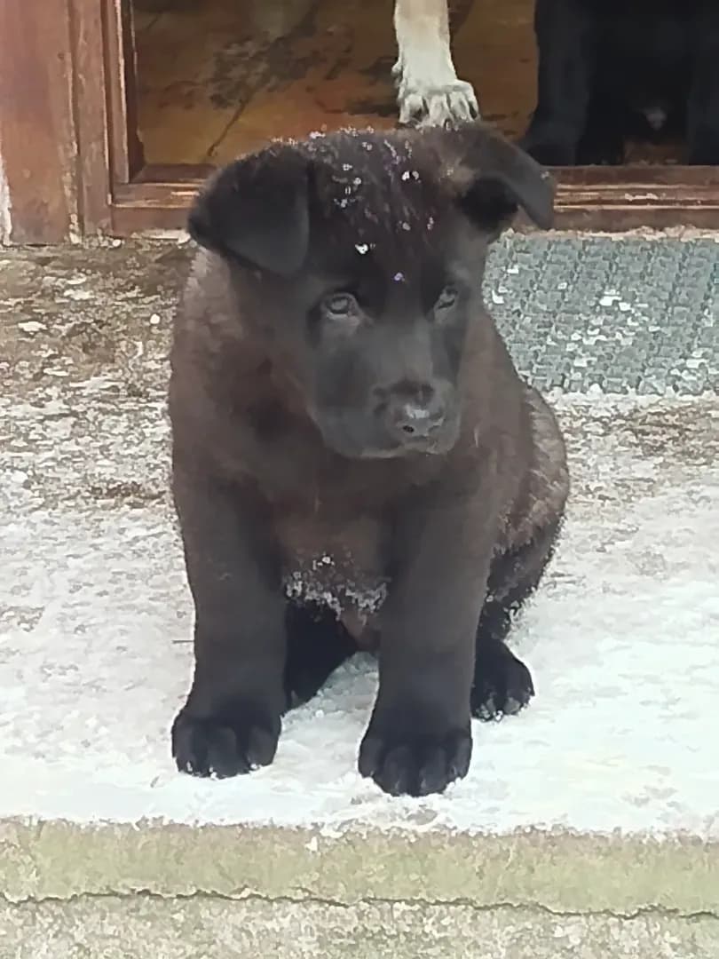 carousel-image-mobile-1