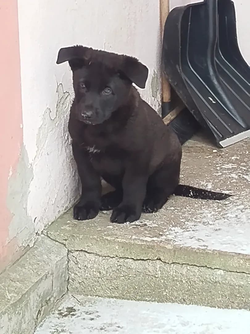 carousel-image-mobile-2