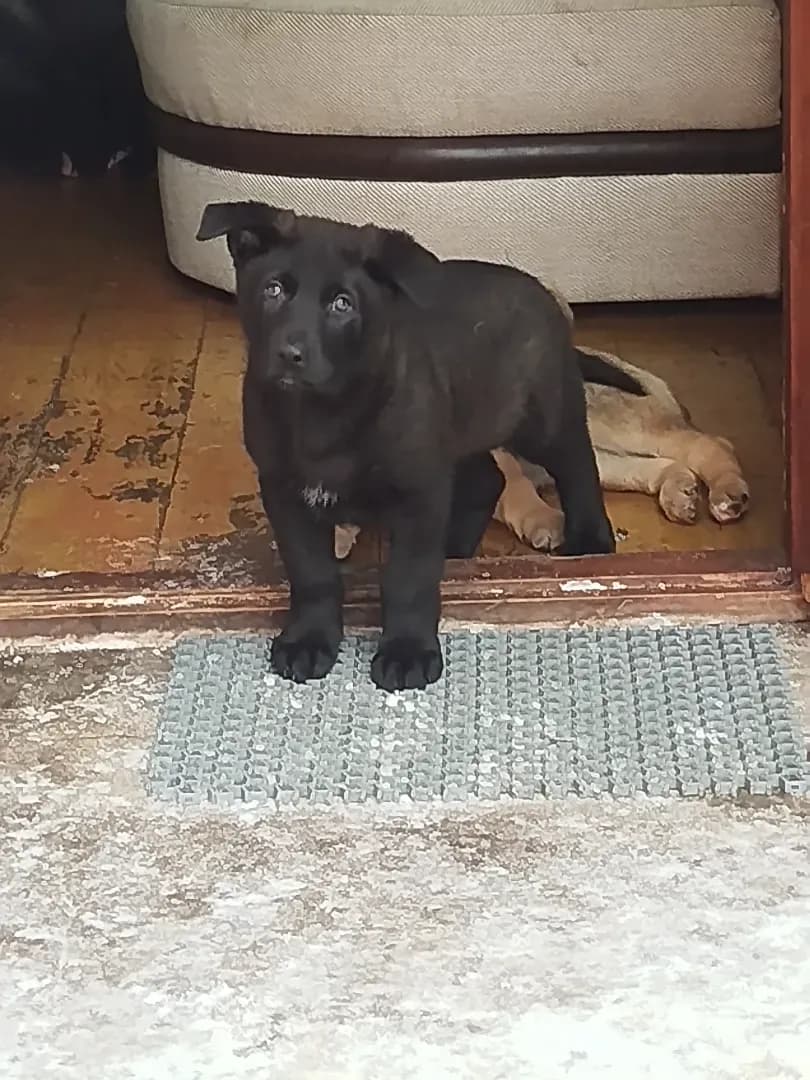 carousel-image-mobile-4