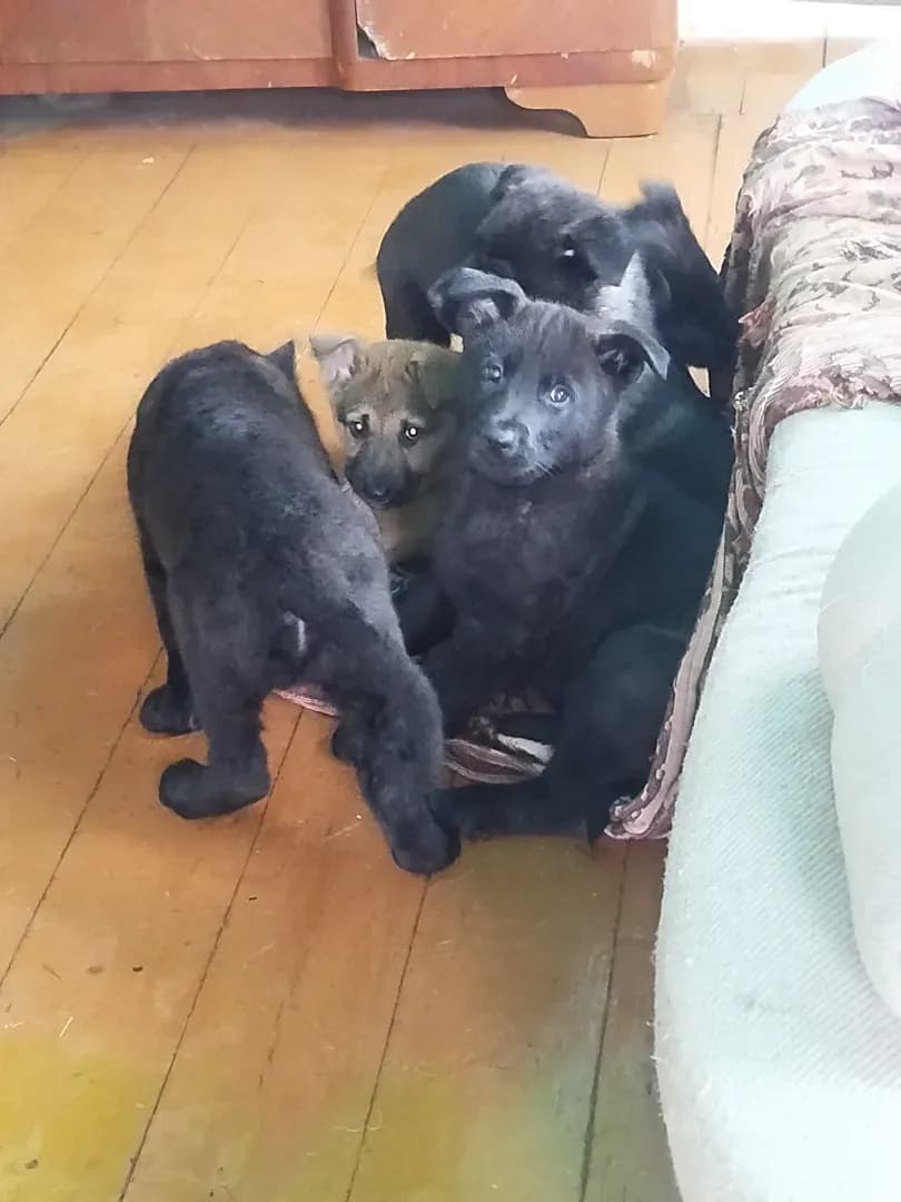 carousel-image-mobile-5