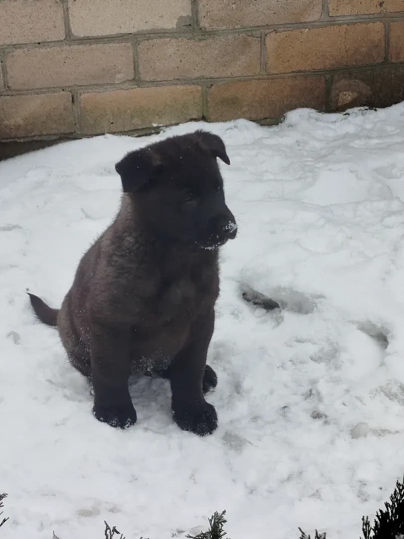 carousel-image-mobile-9