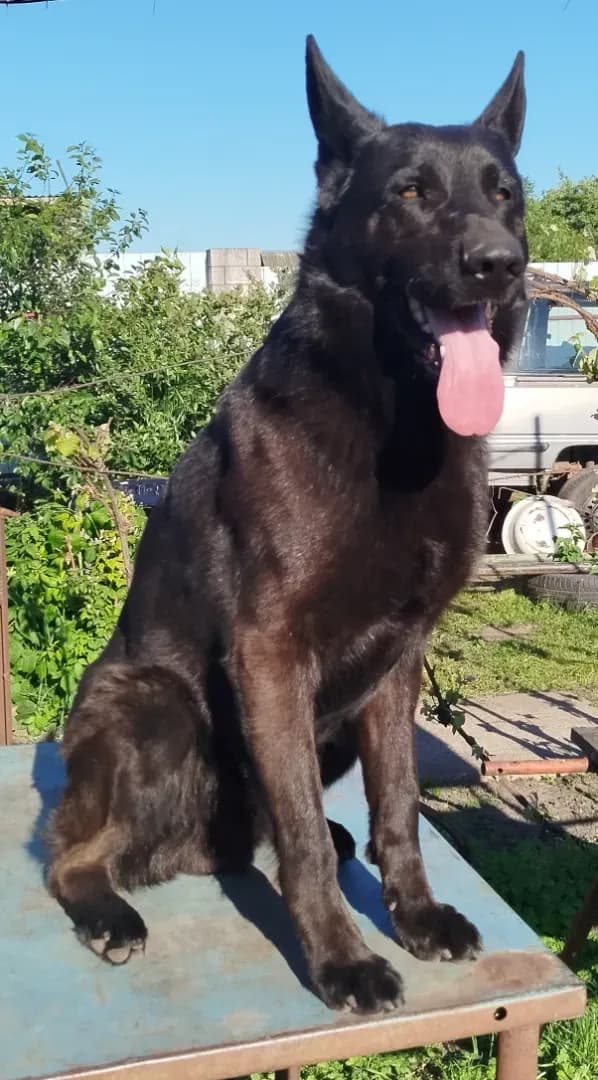 carousel-image-mobile-0