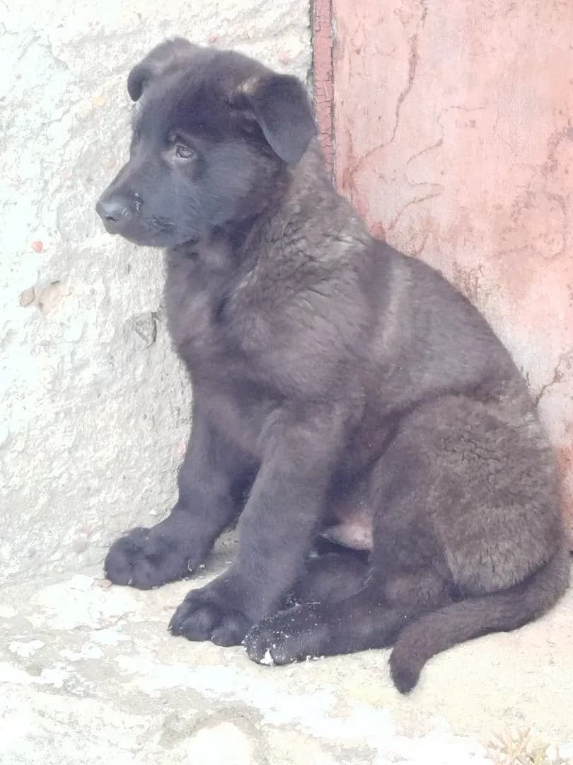 carousel-image-mobile-1