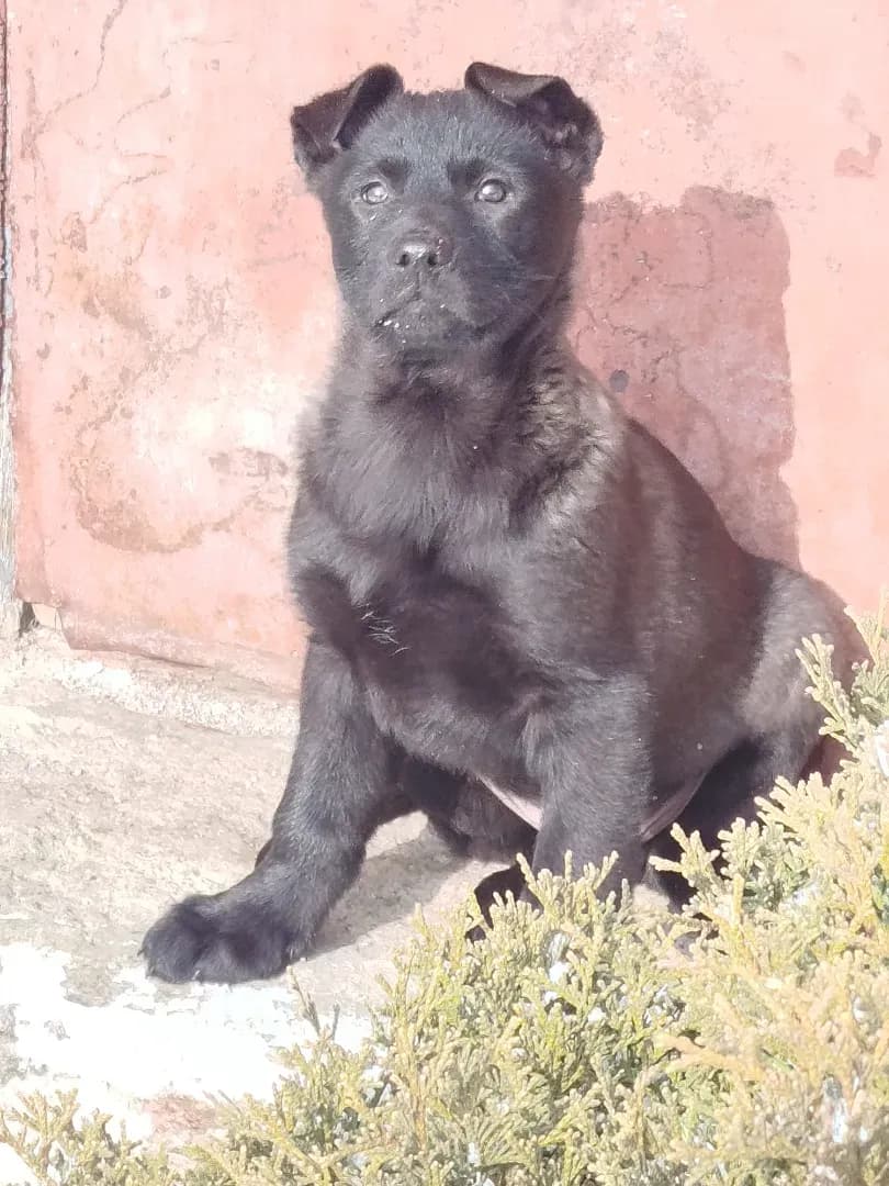 carousel-image-mobile-2