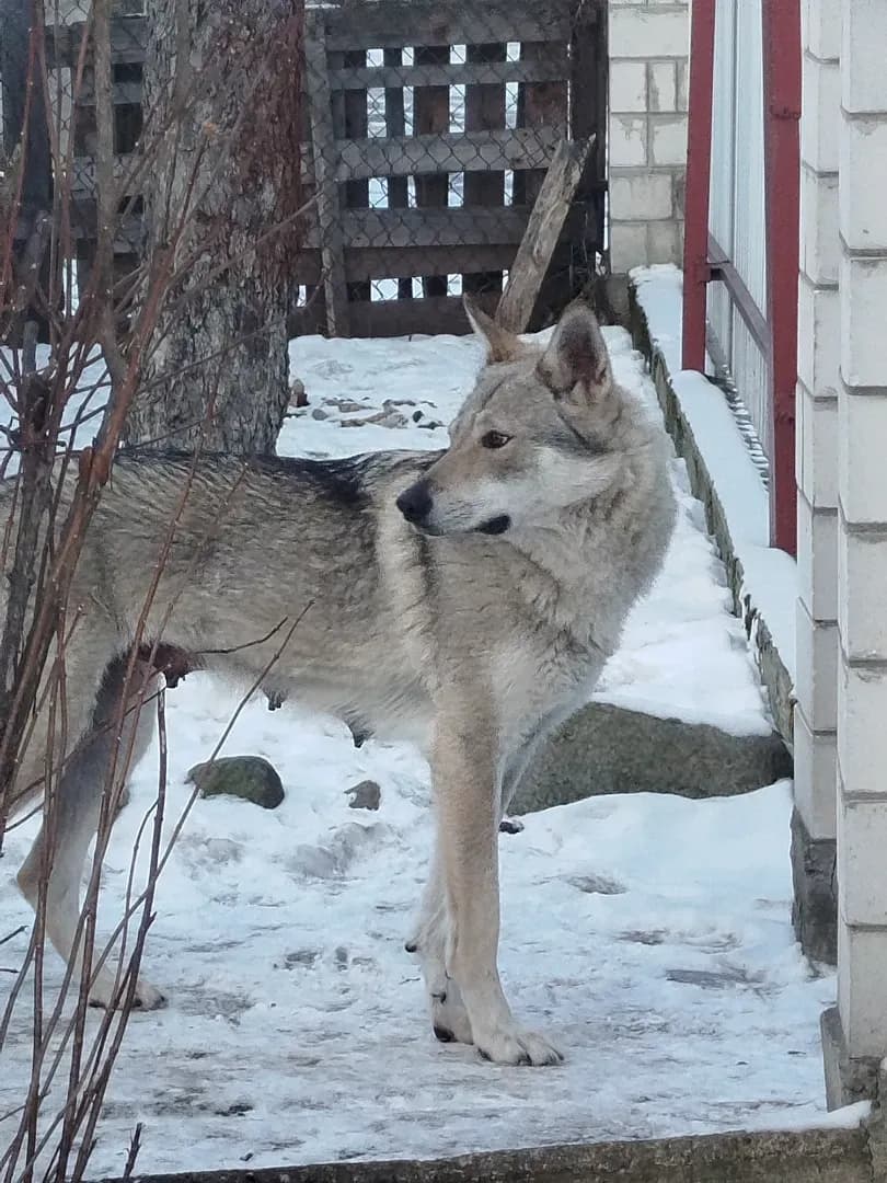 carousel-image-mobile-3