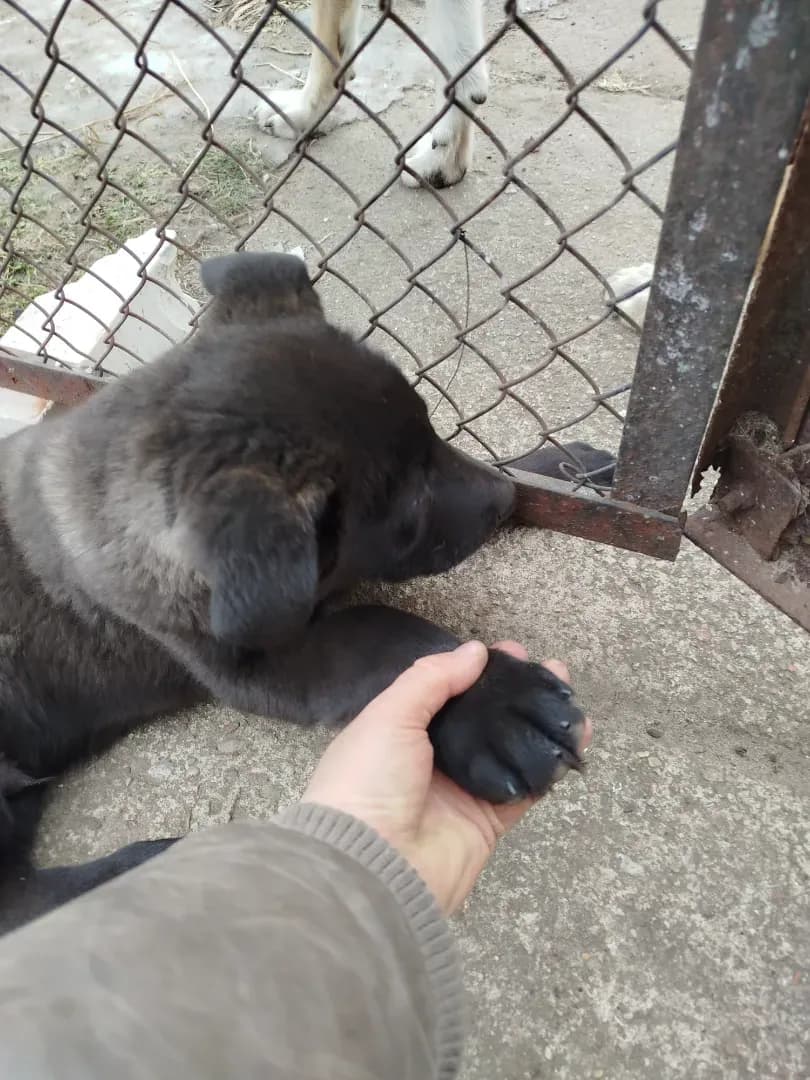 carousel-image-mobile-4