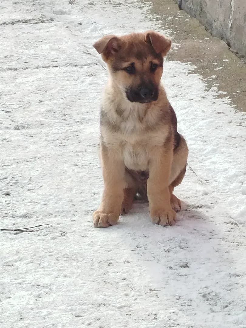 carousel-image-mobile-5